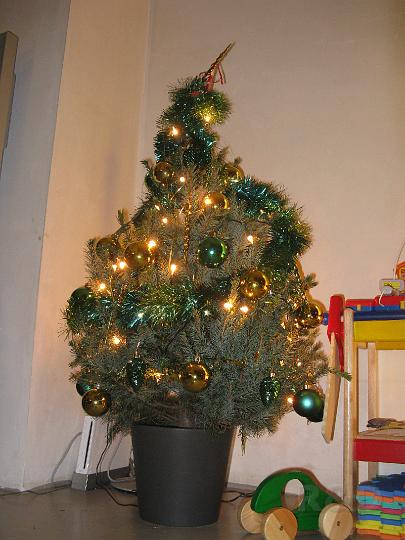Imme 13 december 2008 (2) kerstboom.JPG